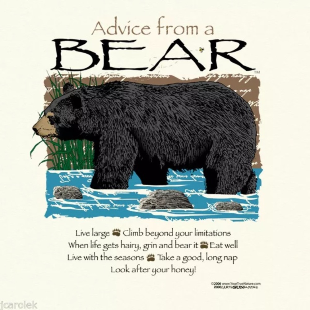 Advice From A Bear T-Shirt Unisex Sizes